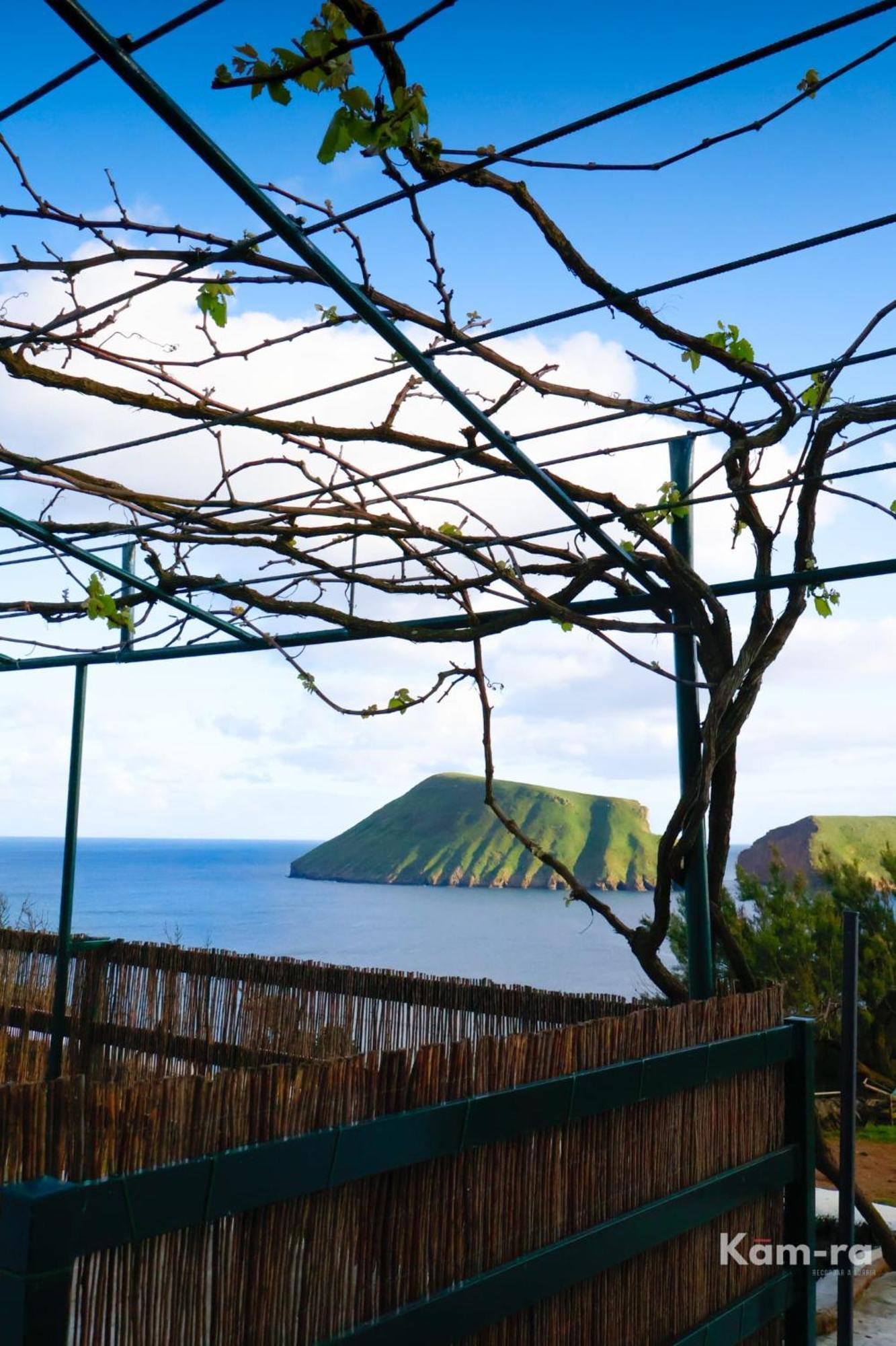 Casa Da Avo Couta Villa Angra do Heroísmo Eksteriør bilde